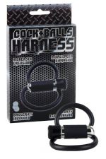 Cock+Balls Harness w. Multispeed bullet